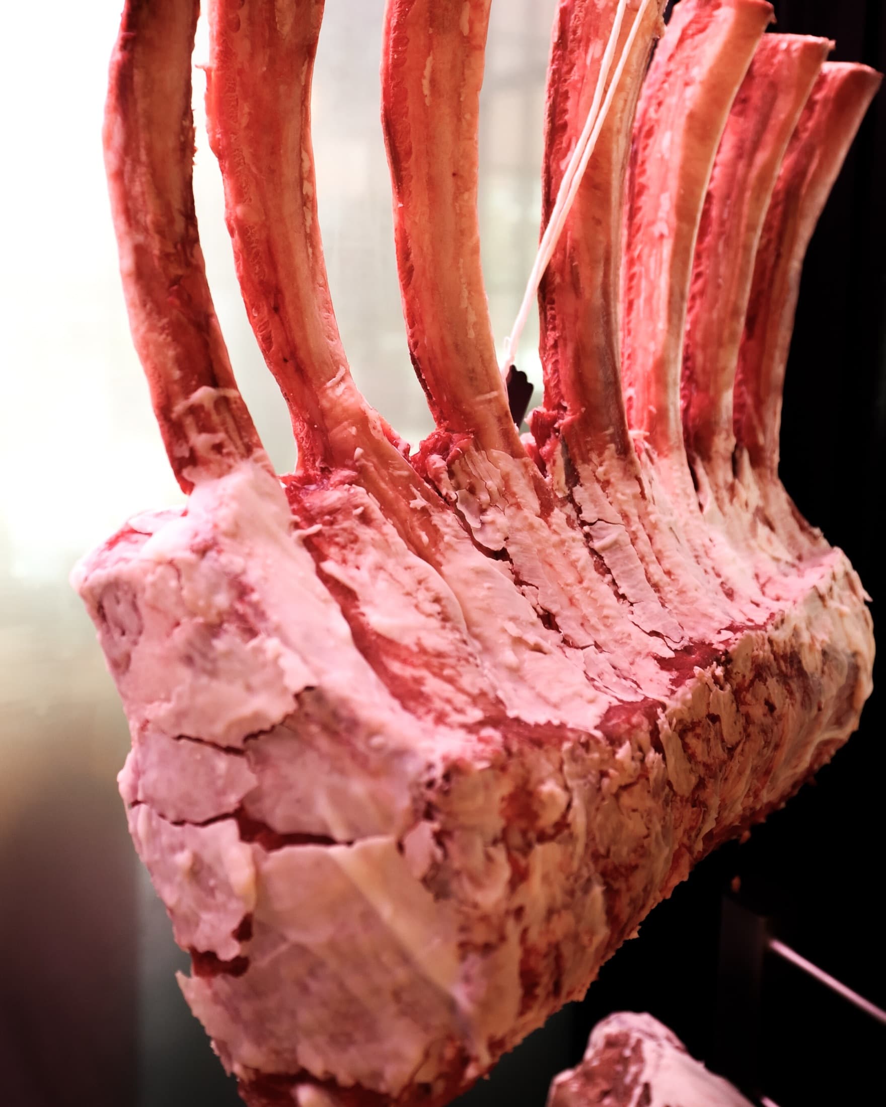 Bone-in tomahawk rib racks hanging in the CHR Steak dry-age room